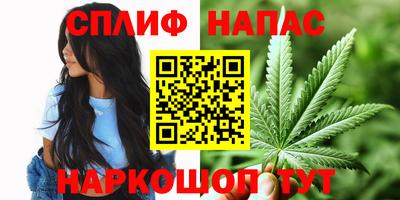дмт Краснодар