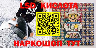 дмт Краснодар