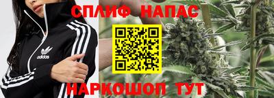 гидропоника Краснознаменск
