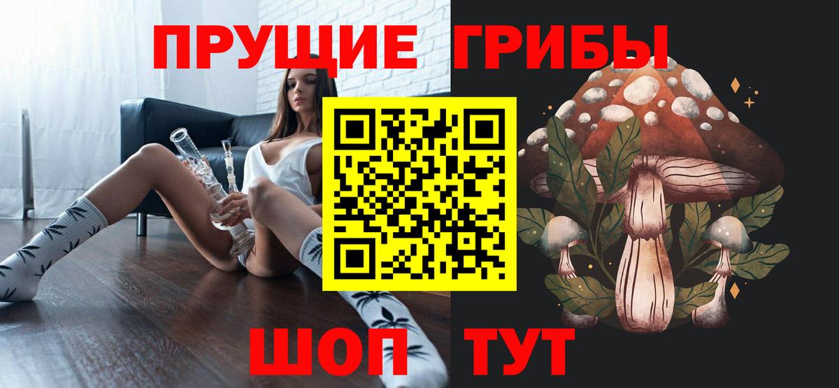 Галлюциногенные грибы Psilocybine cubensis Красноармейск